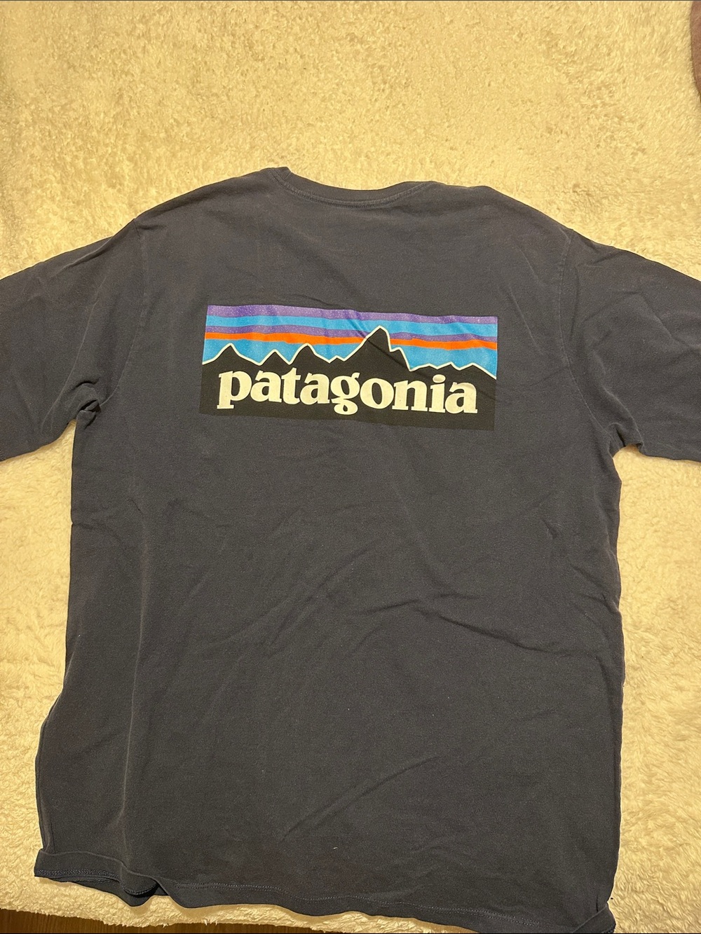 Patagonia Navy Short-Sleeve Tee with Multicolor Mountain Logo